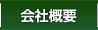 ЊTv