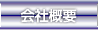 ЊTv
